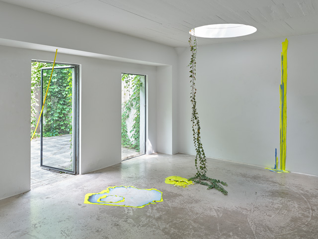 jungwoon_kim_the_ppol_dusseldorf_fishing-in-green-living-in-yellow-exhibition-ausstellung