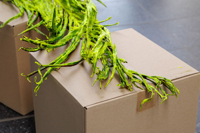 geometry_of_echoes_jungwoon_kim_neon_b